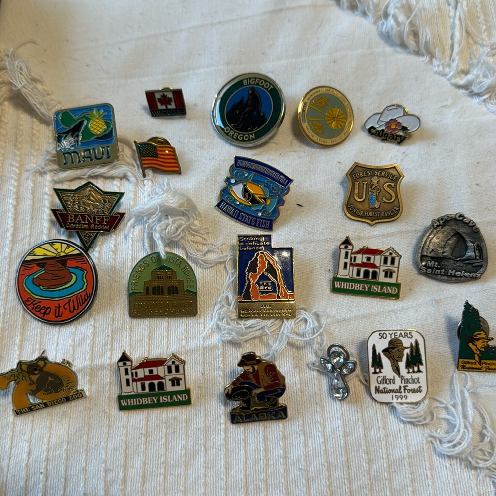 Vintage and new pins